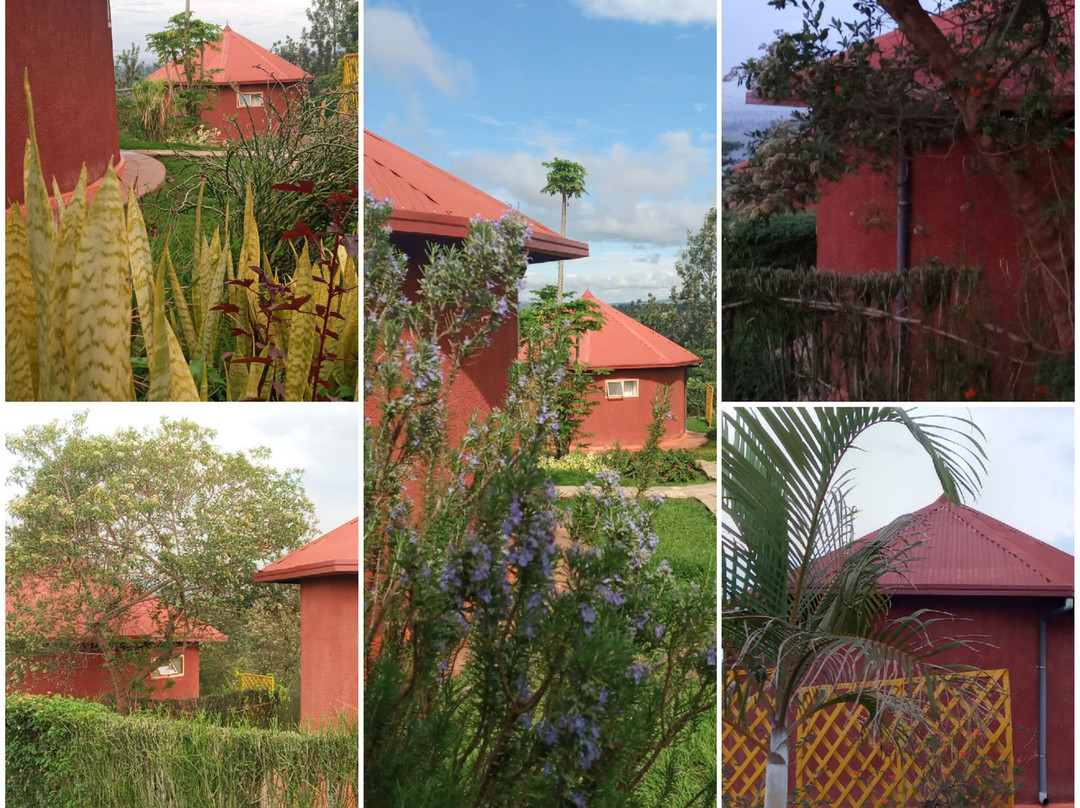 布格塞拉小屋酒店主图
