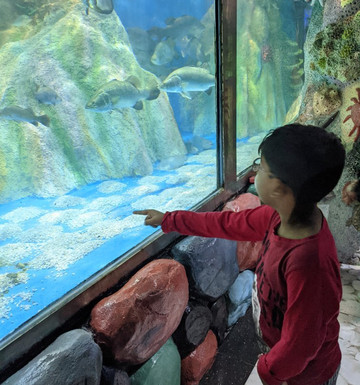 Radiant Fish World-科克斯巴扎尔必去景点