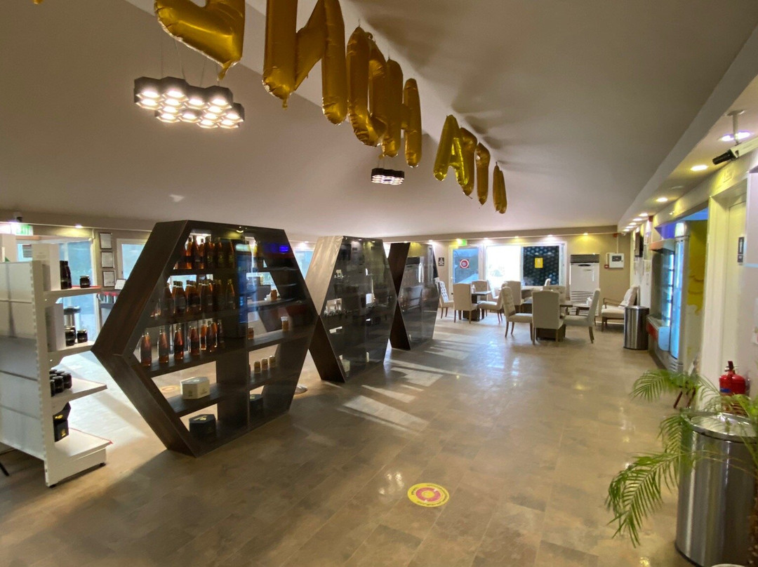 Hatta honey Bee Garden-赫达必去景点