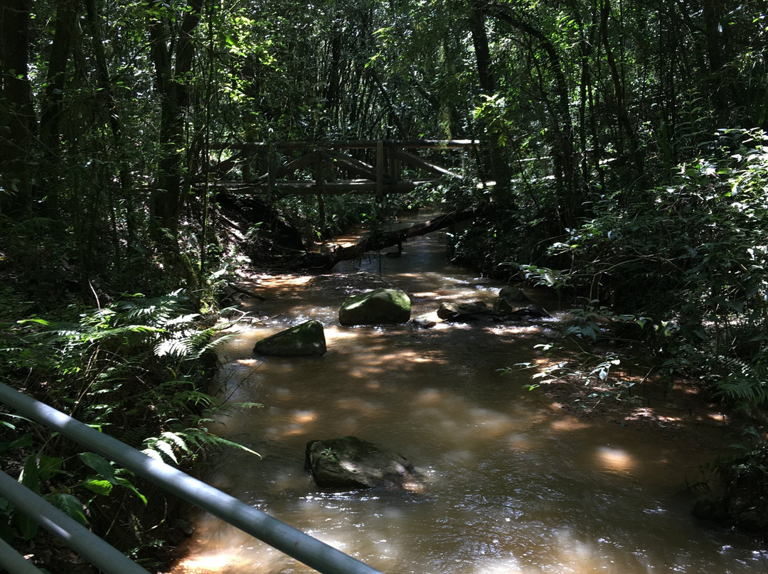 Parque Municipal Gruta Do Bacaetava景点图片