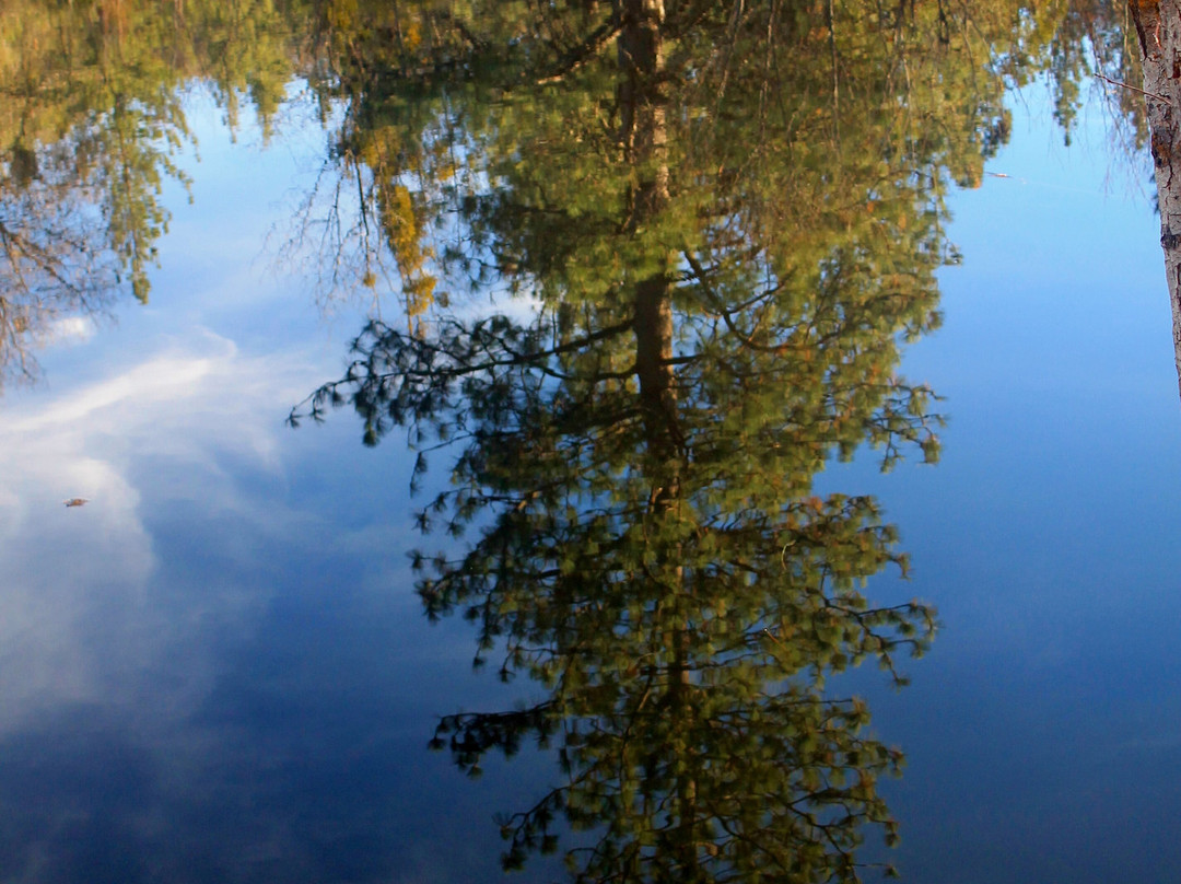 Lake Fulmor-Idyllwild必去景点