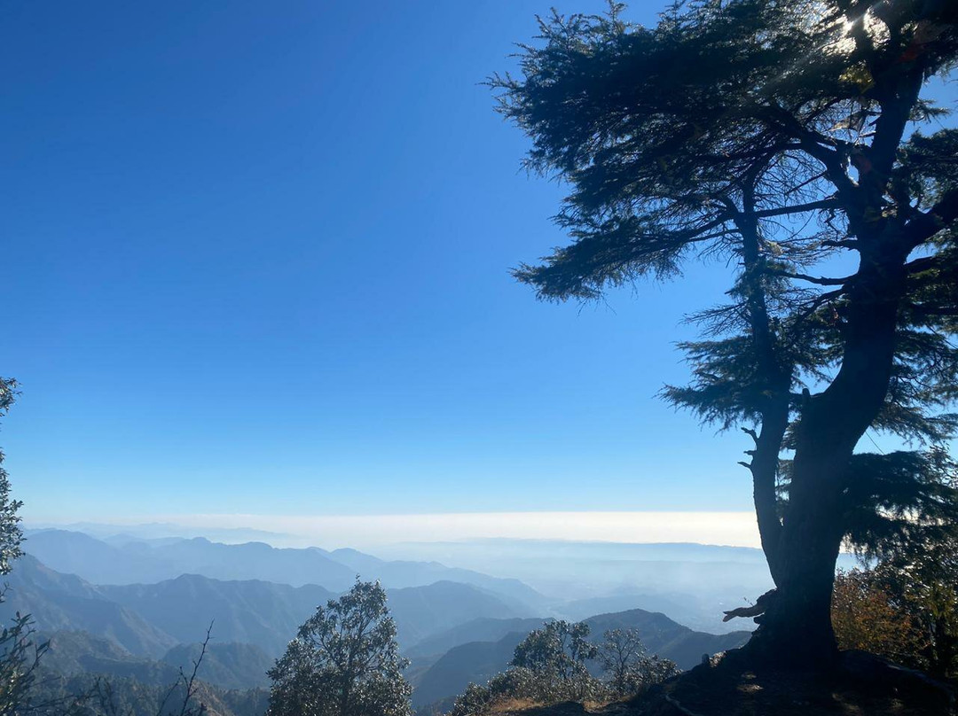 Jabarkhet Nature Reserve-马苏里必去景点