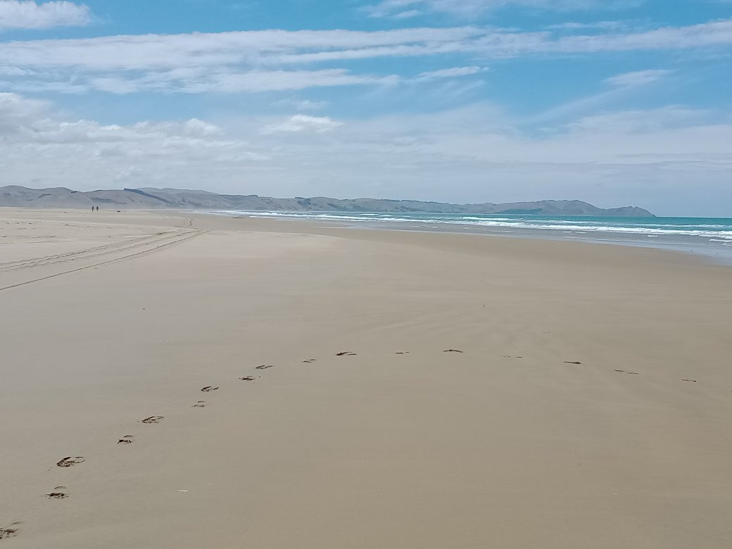 Te paerahi beach景点图片