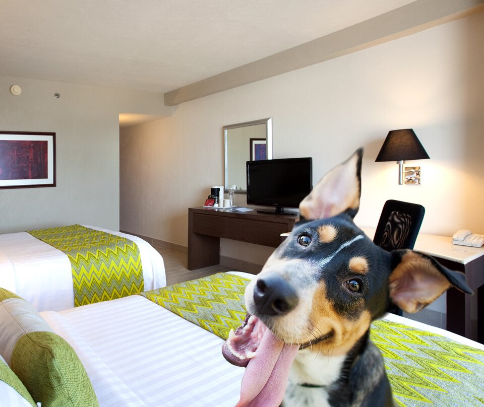 Holiday Inn 普埃布拉拉诺里亚