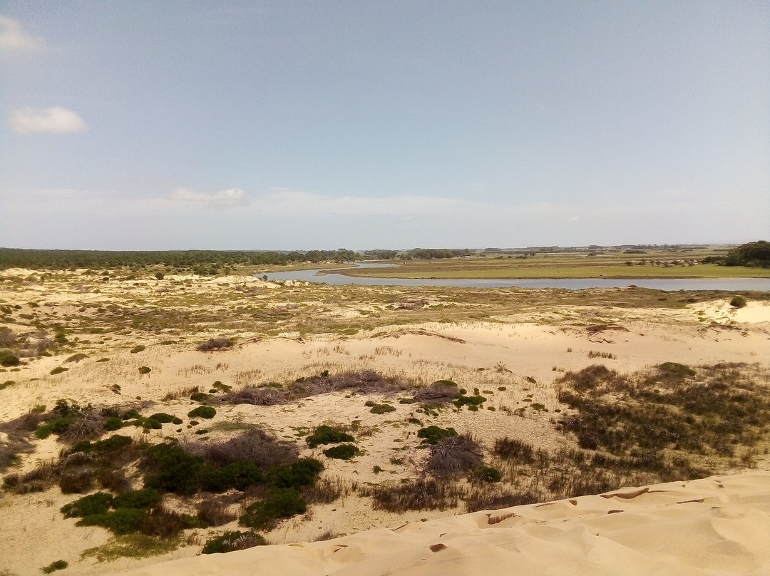 Médanos de la Barra de Valizas-Valizas必去景点