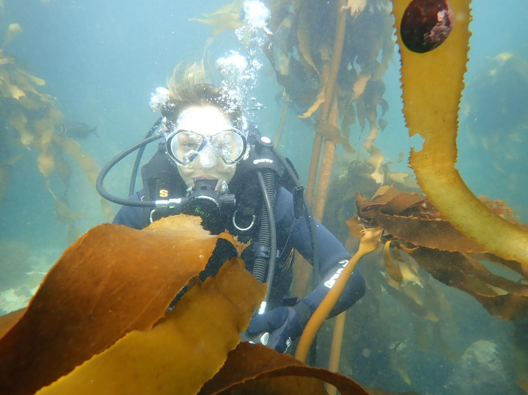 Scuba Shack-西门镇必去景点