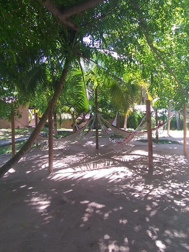 Angá Beach Hotel主图