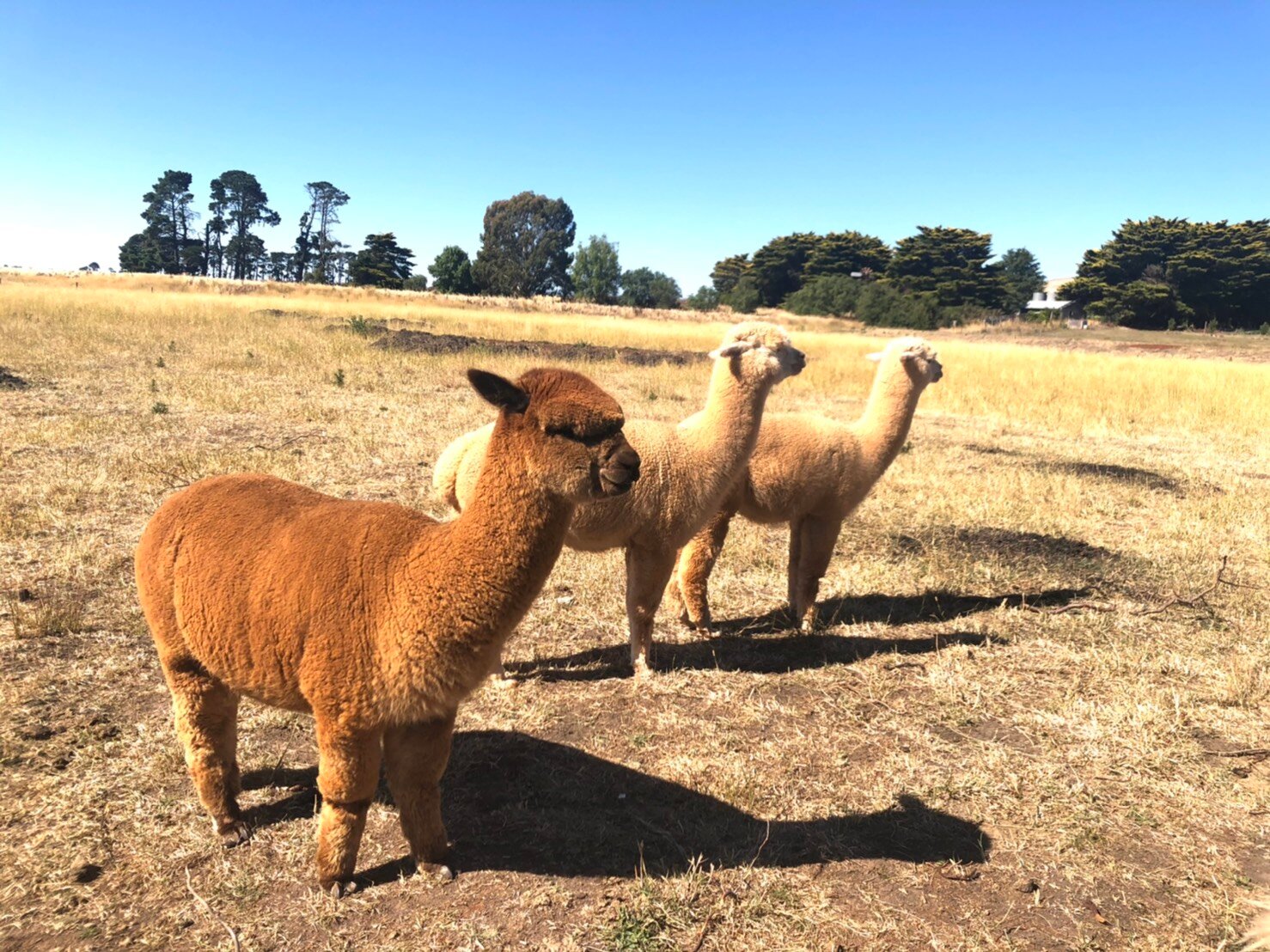 New Horizons Farm Stay-浴室