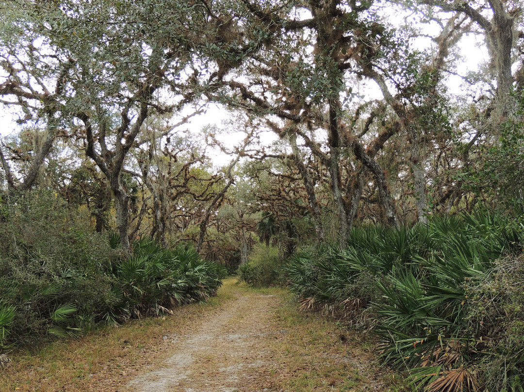 Jelks Preserve-威尼斯必去景点