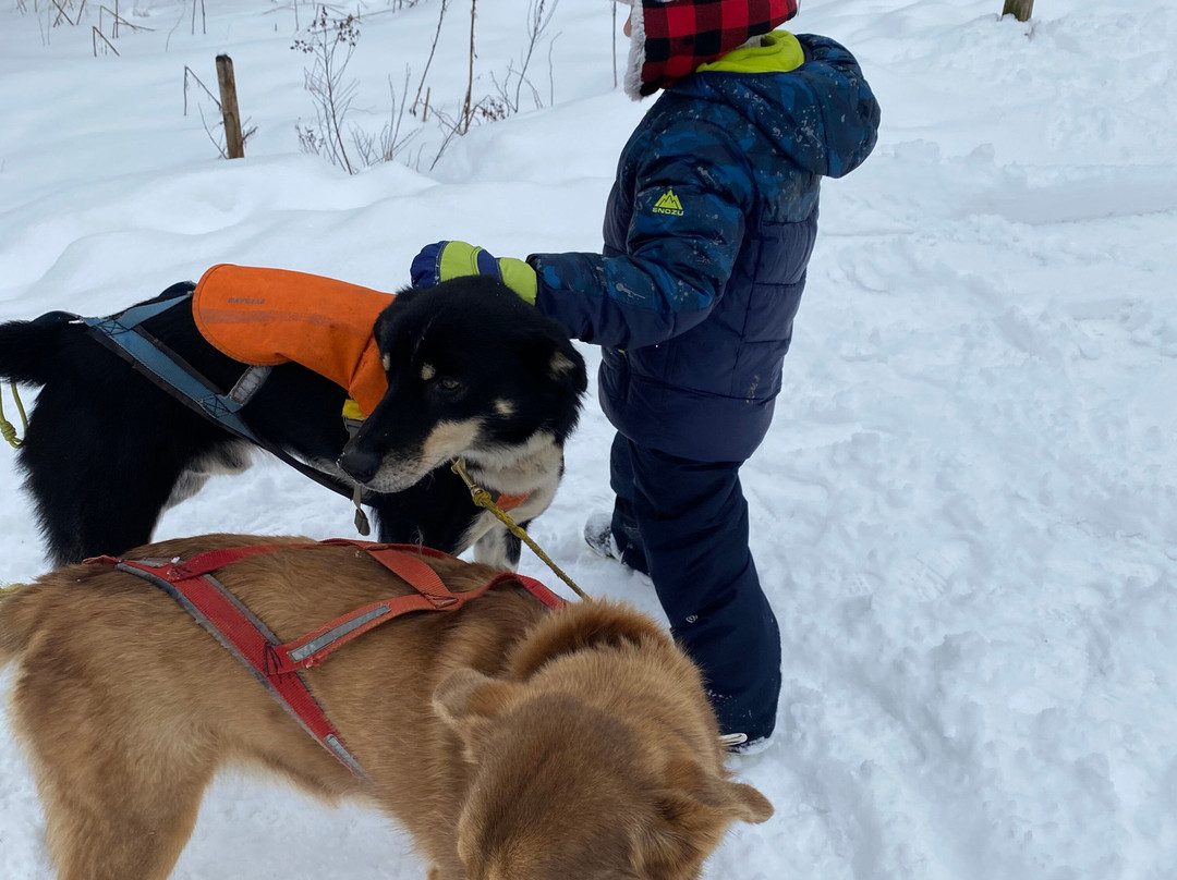 Muddy Paw Sled Dog Kennel-Jefferson必去景点