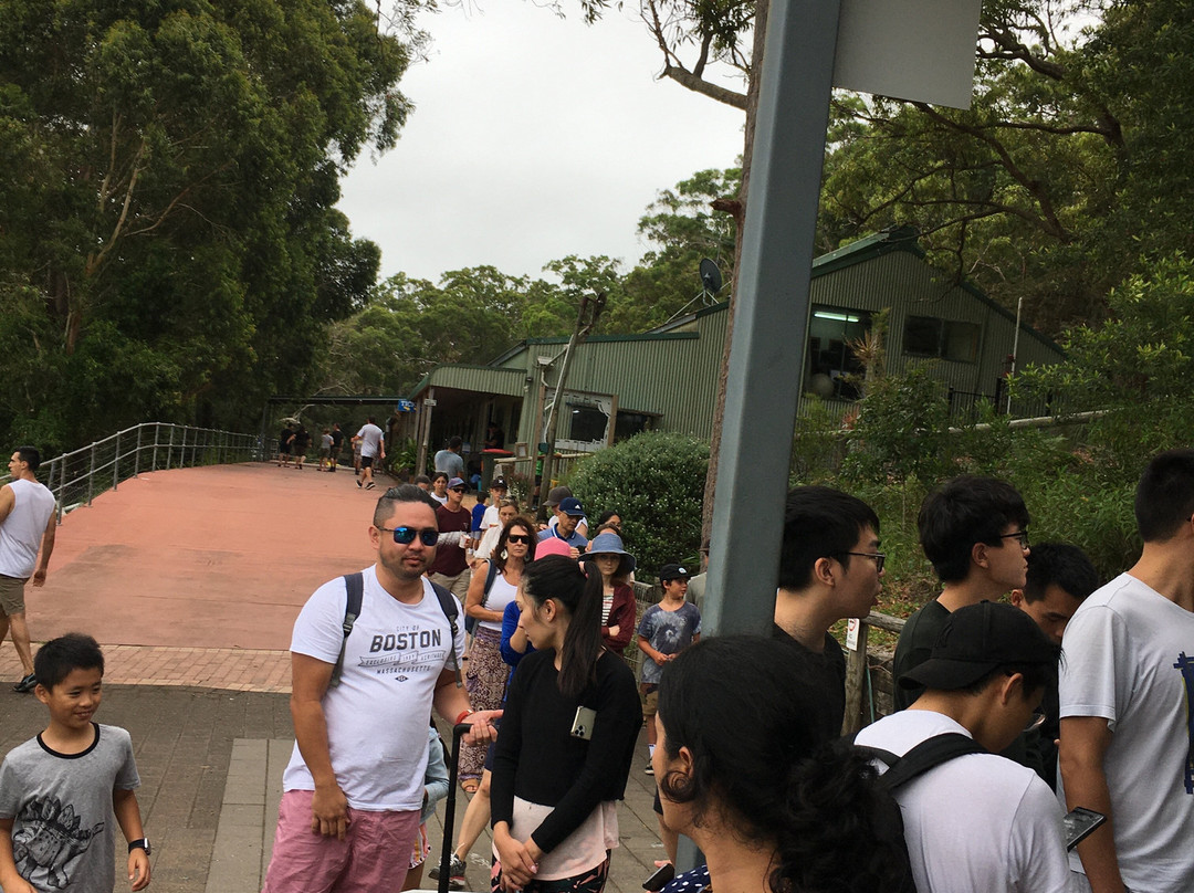 Toboggan Hill Park景点图片