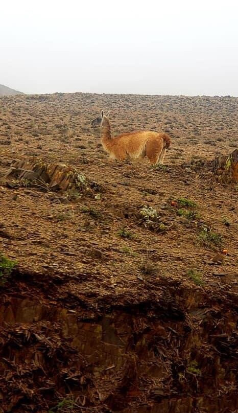 Cuesta del Obispo-萨尔塔必去景点