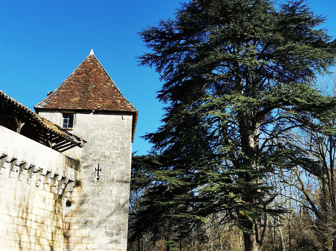Château de Caussade景点图片