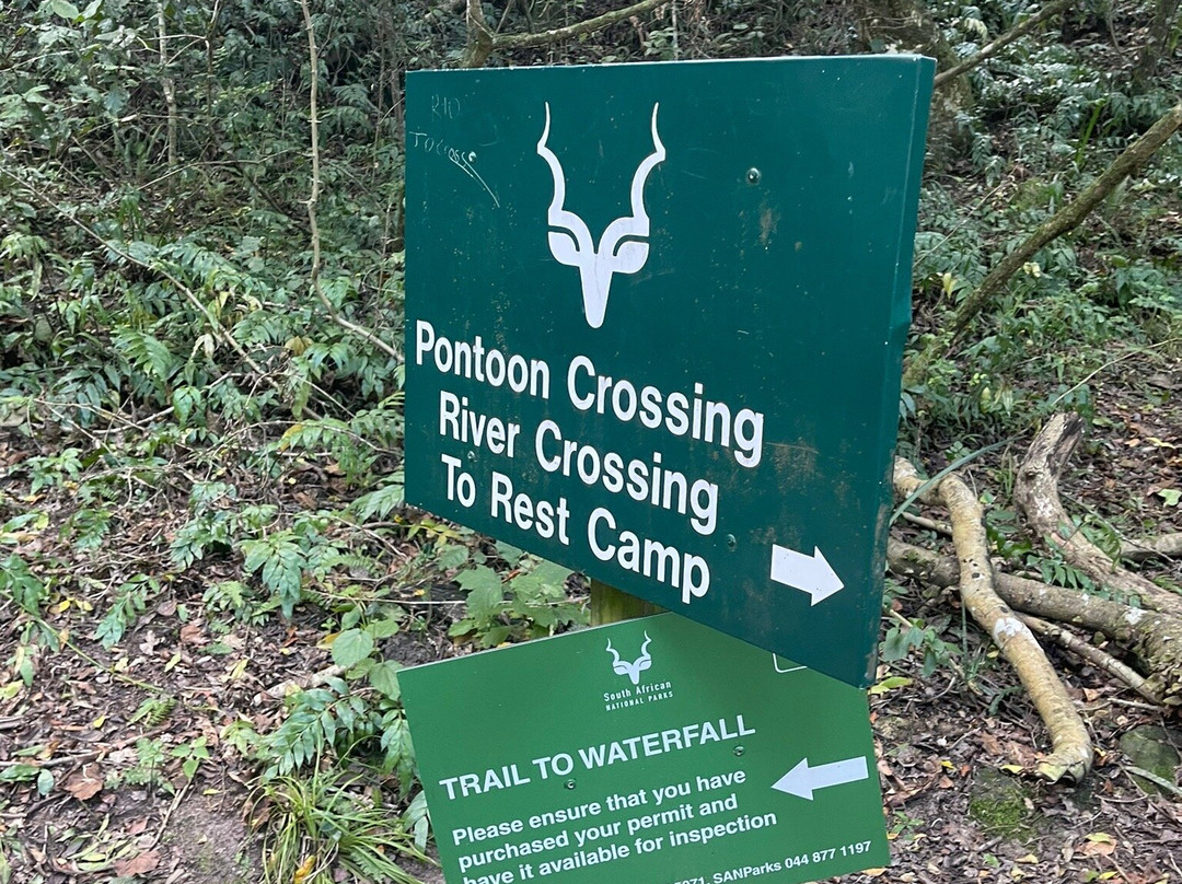 Half Collared Kingfisher Trail-荒野必去景点