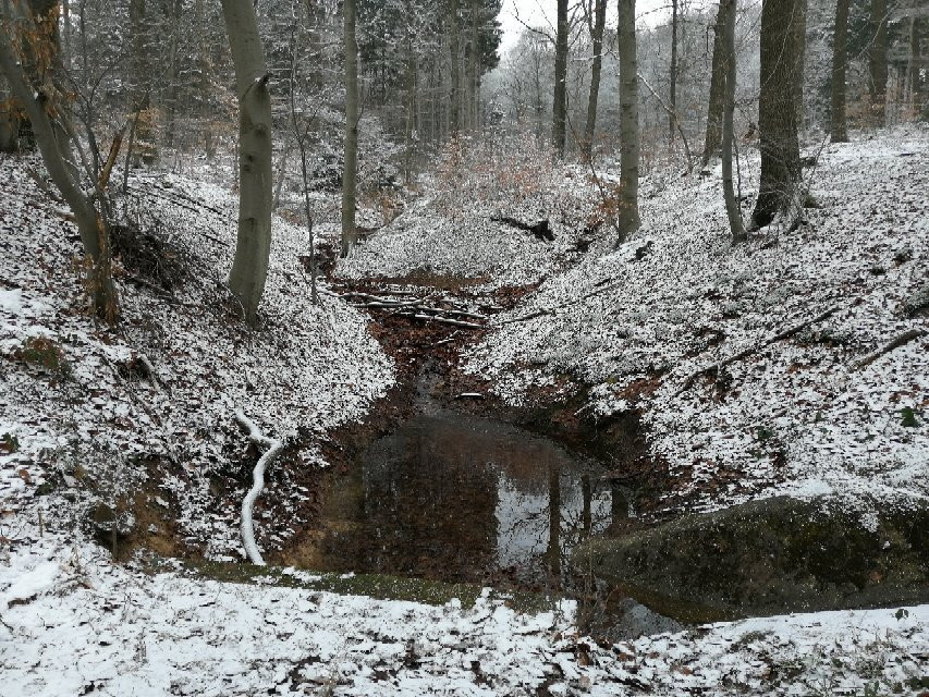 Barrage de la Gileppe景点图片