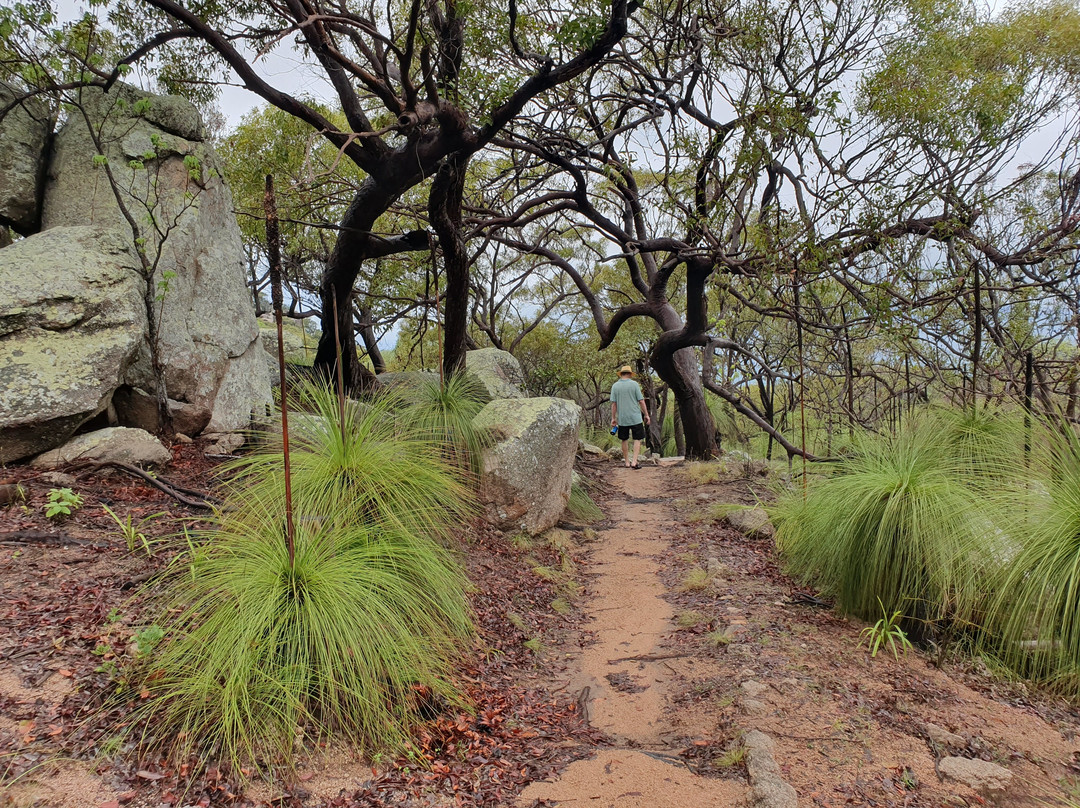 Nelly Bay to Arcadia Trail-Nelly Bay必去景点