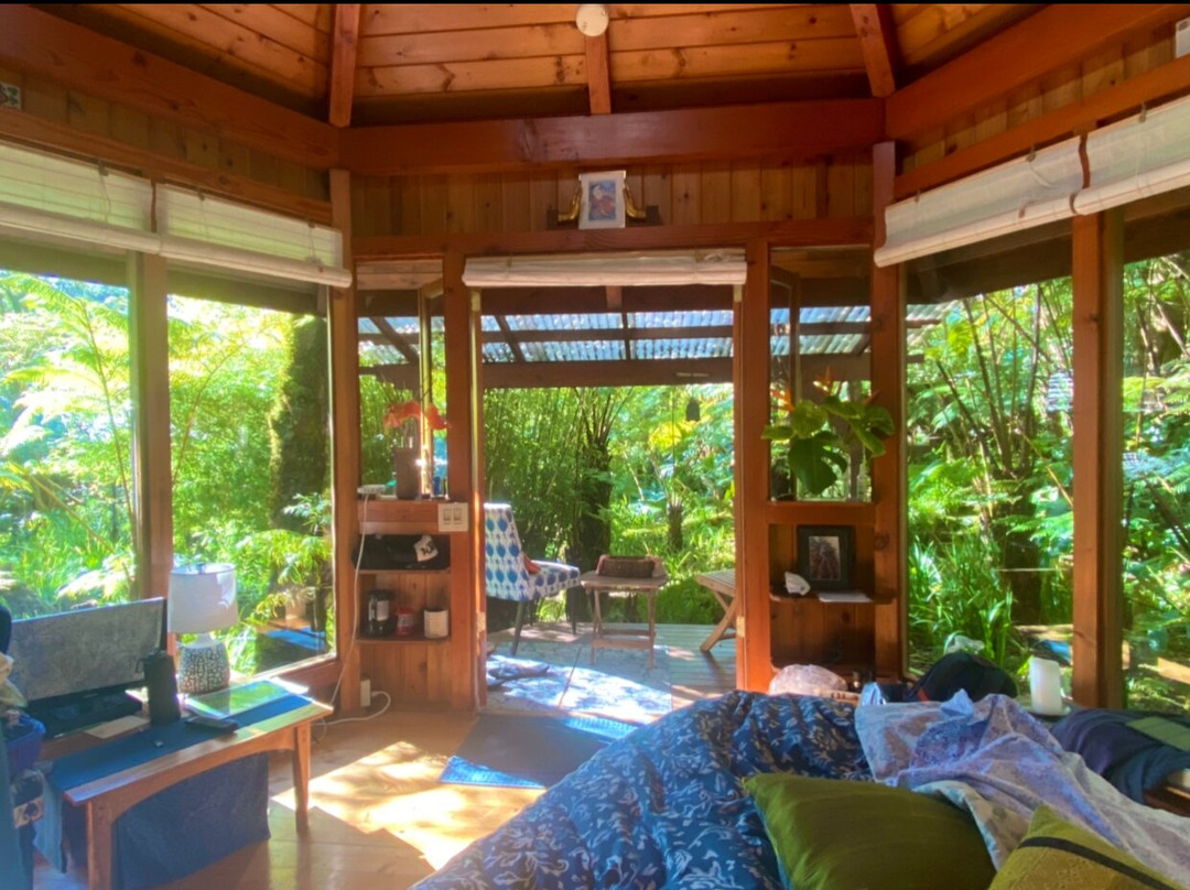 火山雨林休养所主图