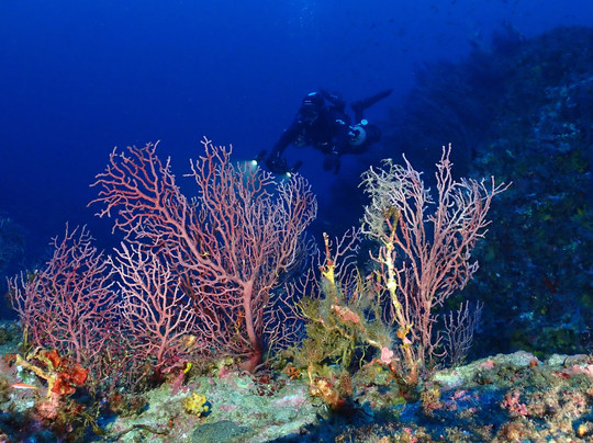 MENORCA BUCEO FORNELLS-Fornells必去景点