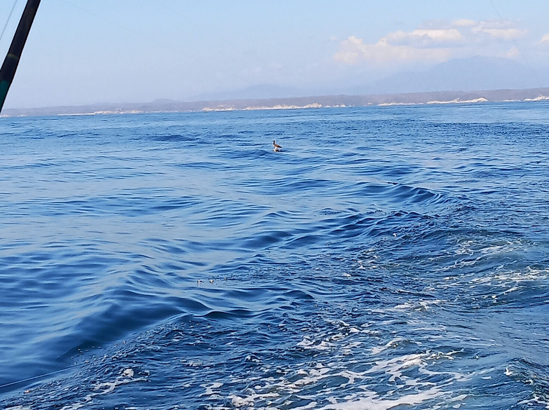 Xtreme Team-瓦图尔科必去景点