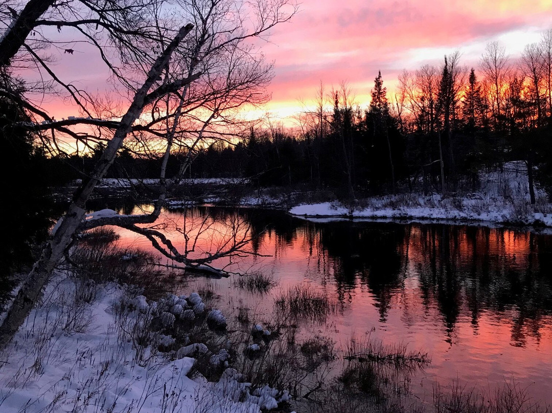 Log Cabin Inn - Accommodations主图