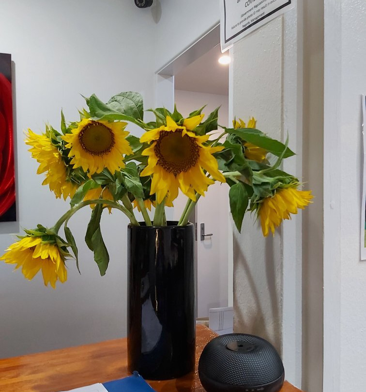 Mackay Rose Motel主图