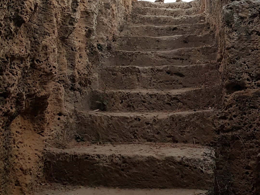St. Solomon's Catacombs-帕福斯必去景点