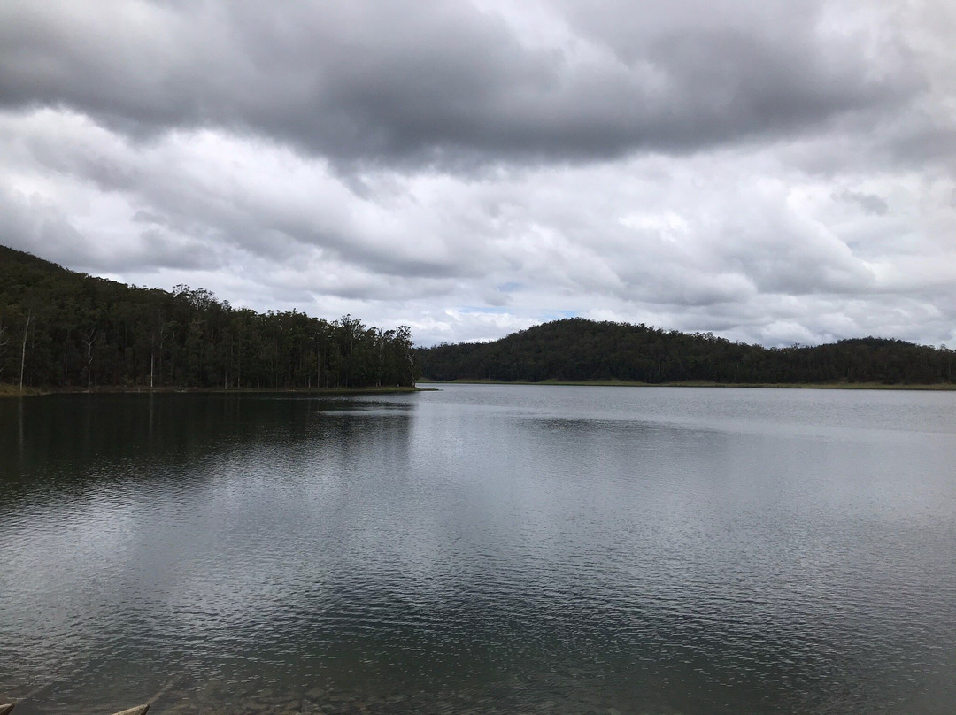 Cowarra Off Creek Storage Dam-Wauchope必去景点