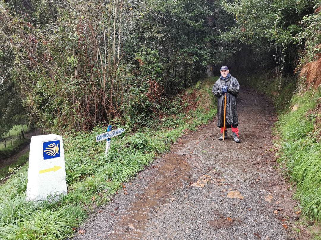 El Camino De Santiago-圣地亚哥德孔波斯特拉必去景点