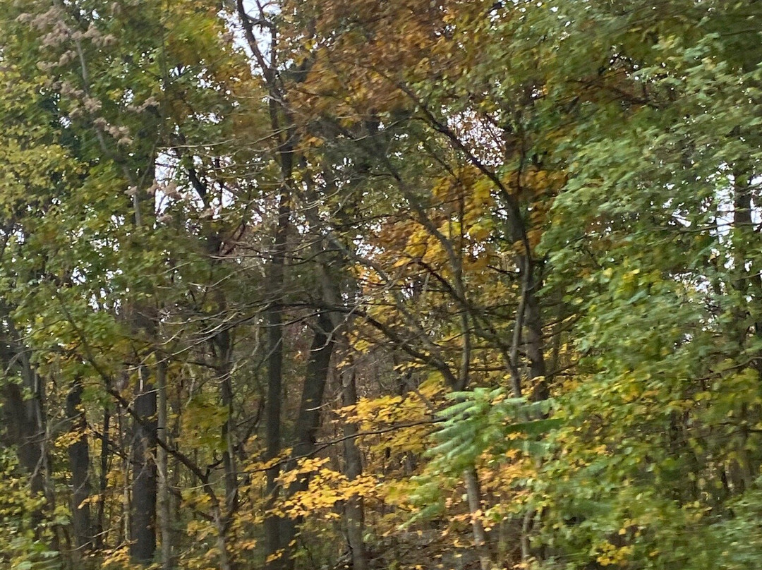 Macedonia Brook State Park-肯特必去景点