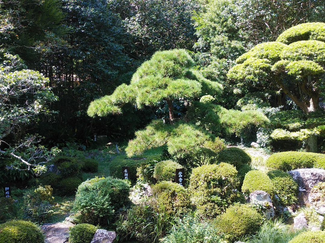 Togepposaiokuji Temple-静冈市必去景点
