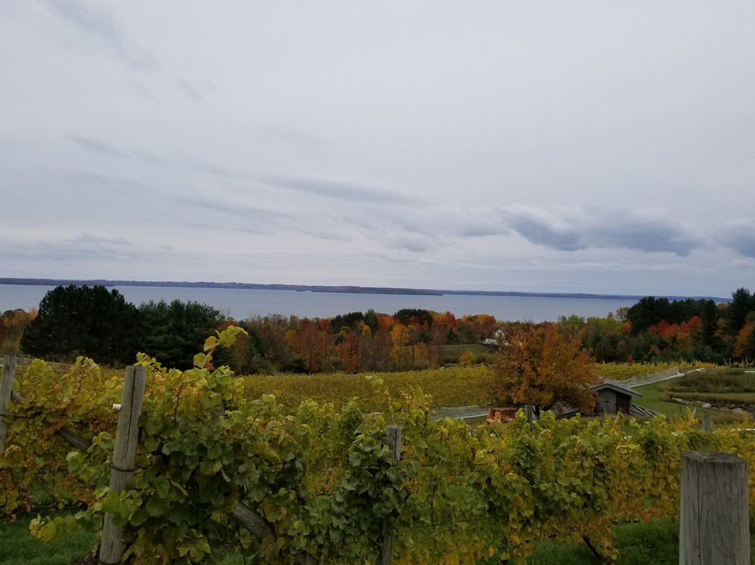 Willow Winery & Vineyard景点图片