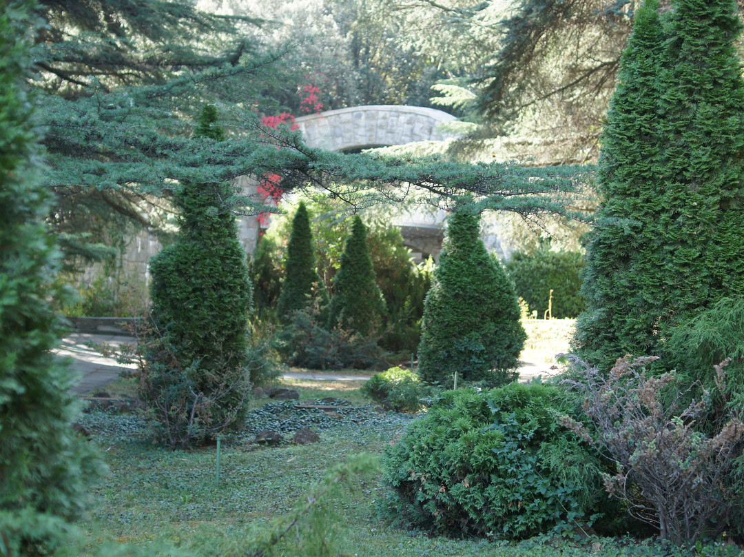 Park of Health Resort Crimea-Partenit必去景点