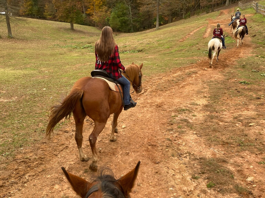 Blanche Manor Horseback Riding景点图片