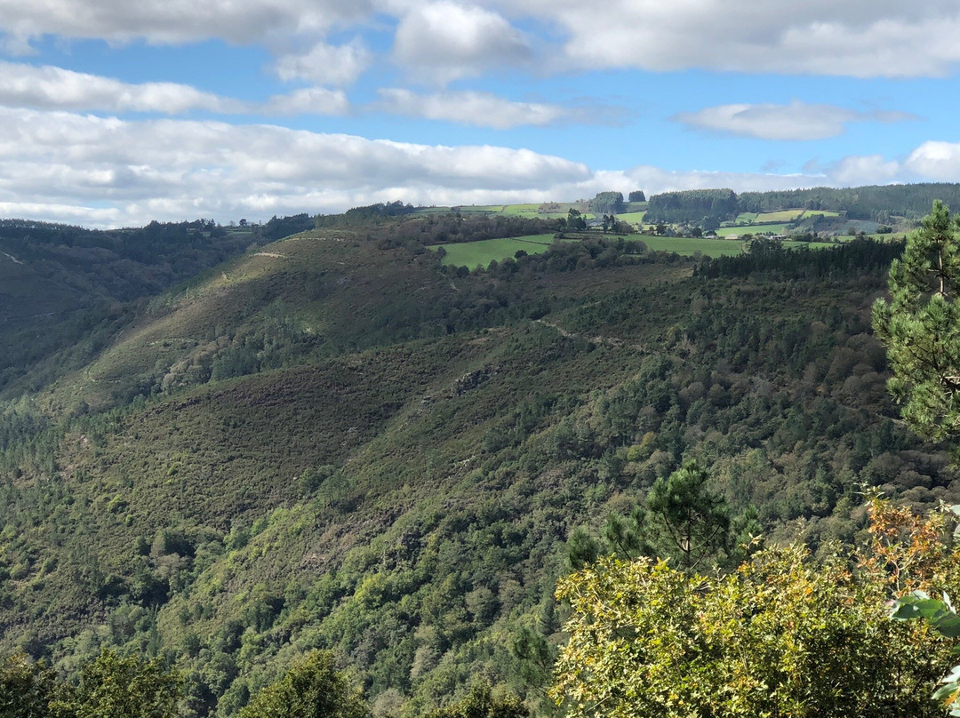 Complejo O Pineiral主图