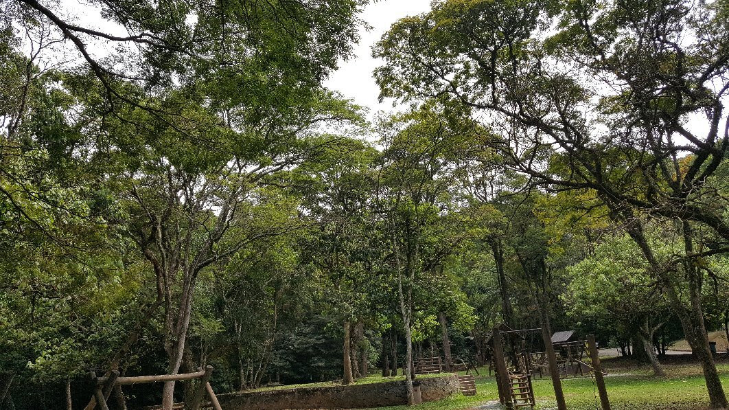 Florestal Orchard of Sao Paulo景点图片