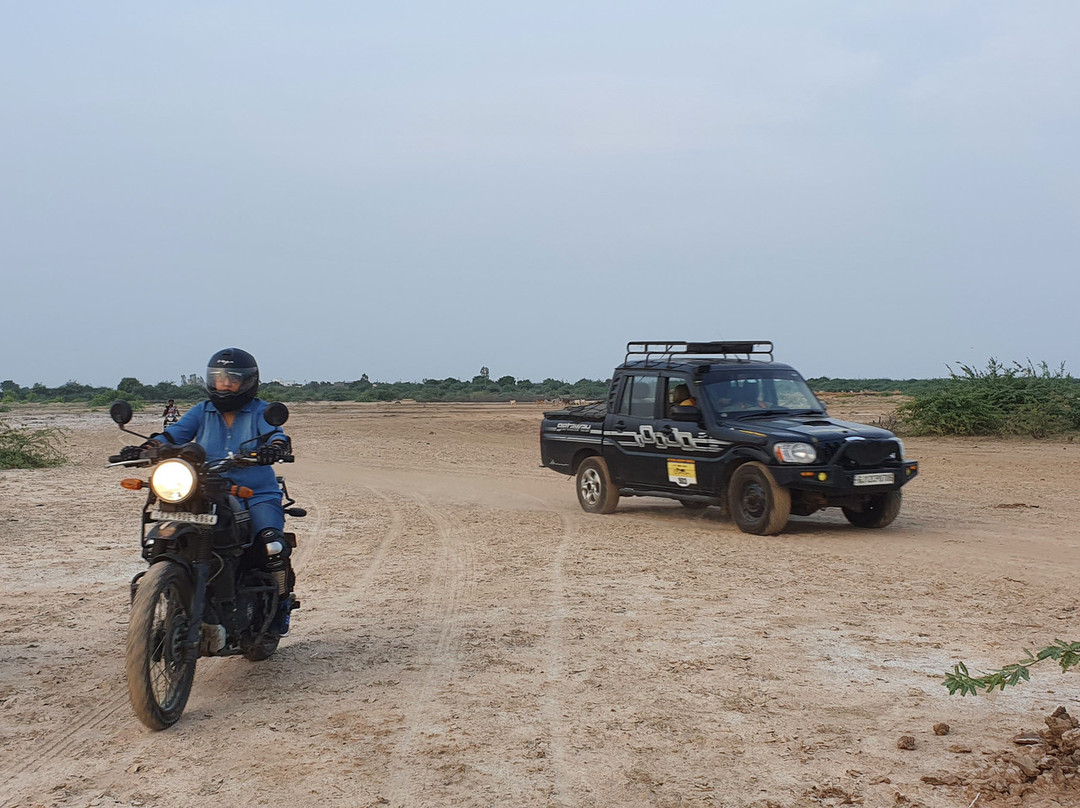 Little Rann of Kutch景点图片