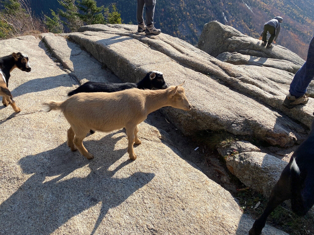 Crawford Notch State Park景点图片