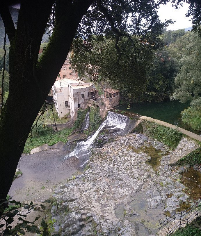 Salt del Moli Fondo景点图片