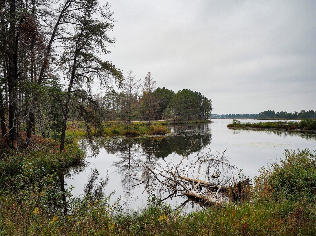 Seney National Wildlife Refuge景点图片