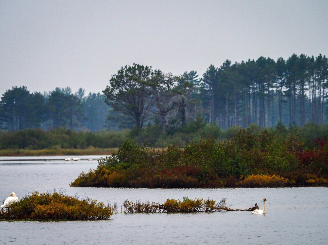 Seney National Wildlife Refuge景点图片