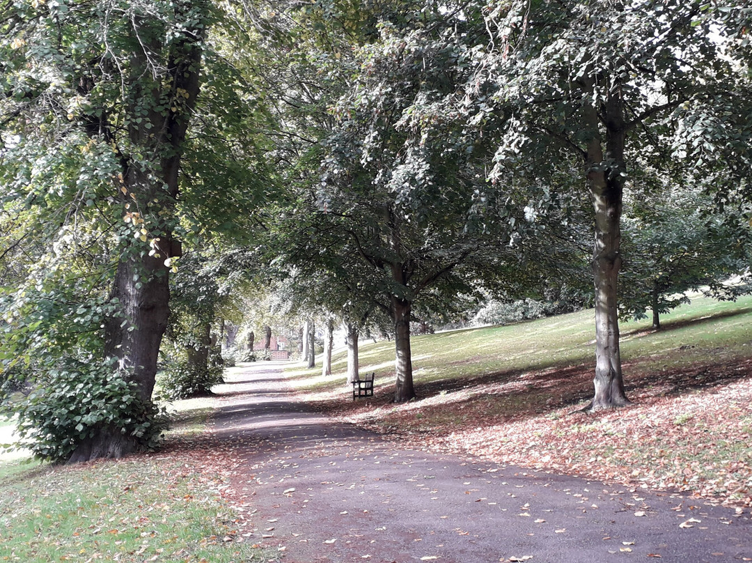 Holywells Park景点图片