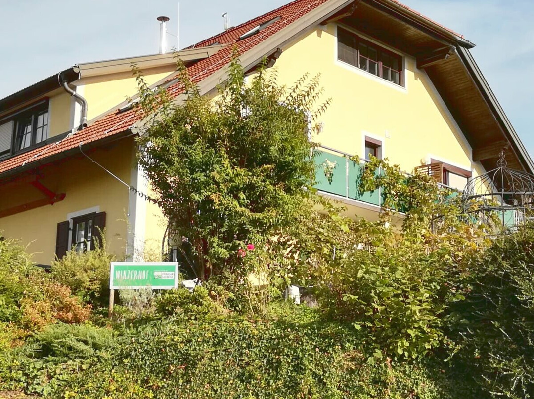 Toso Genussreich主图