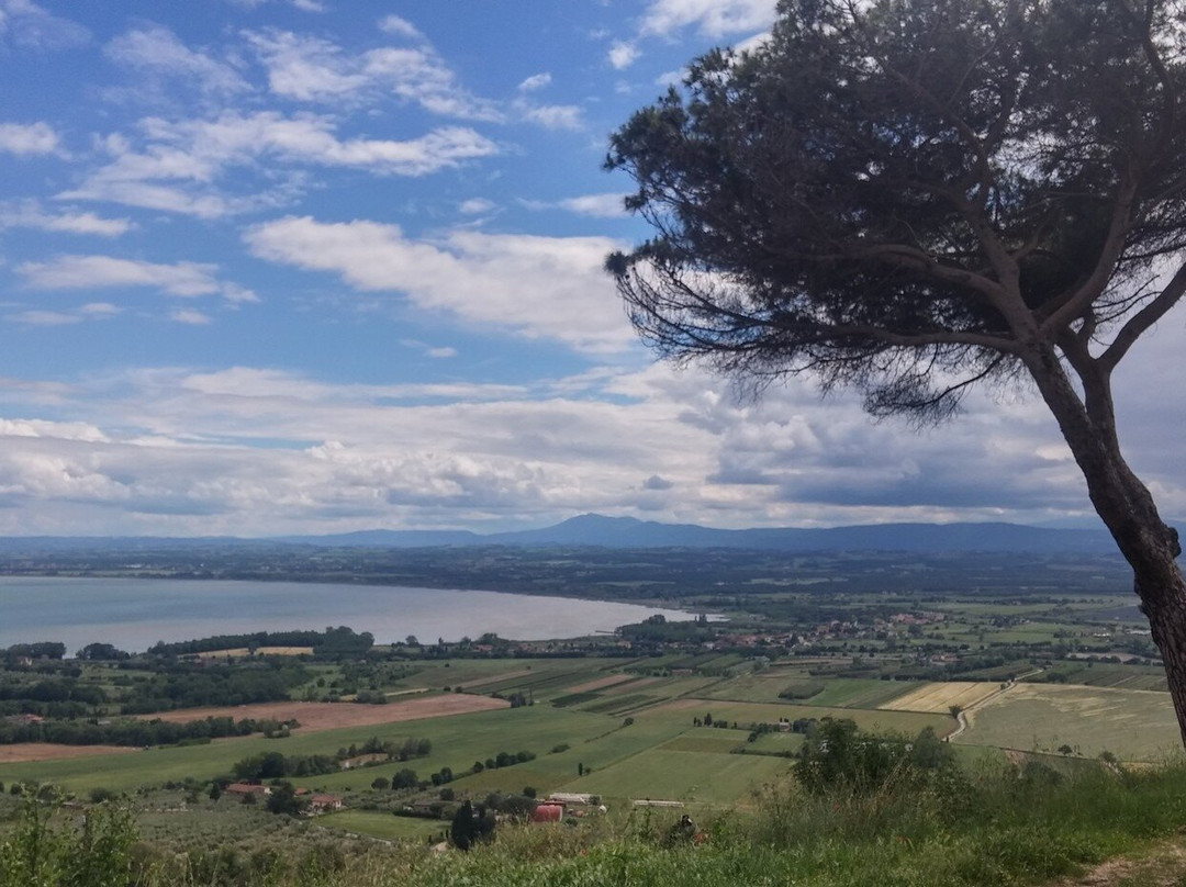Castello di Montegualandro-Tuoro sul Trasimeno必去景点