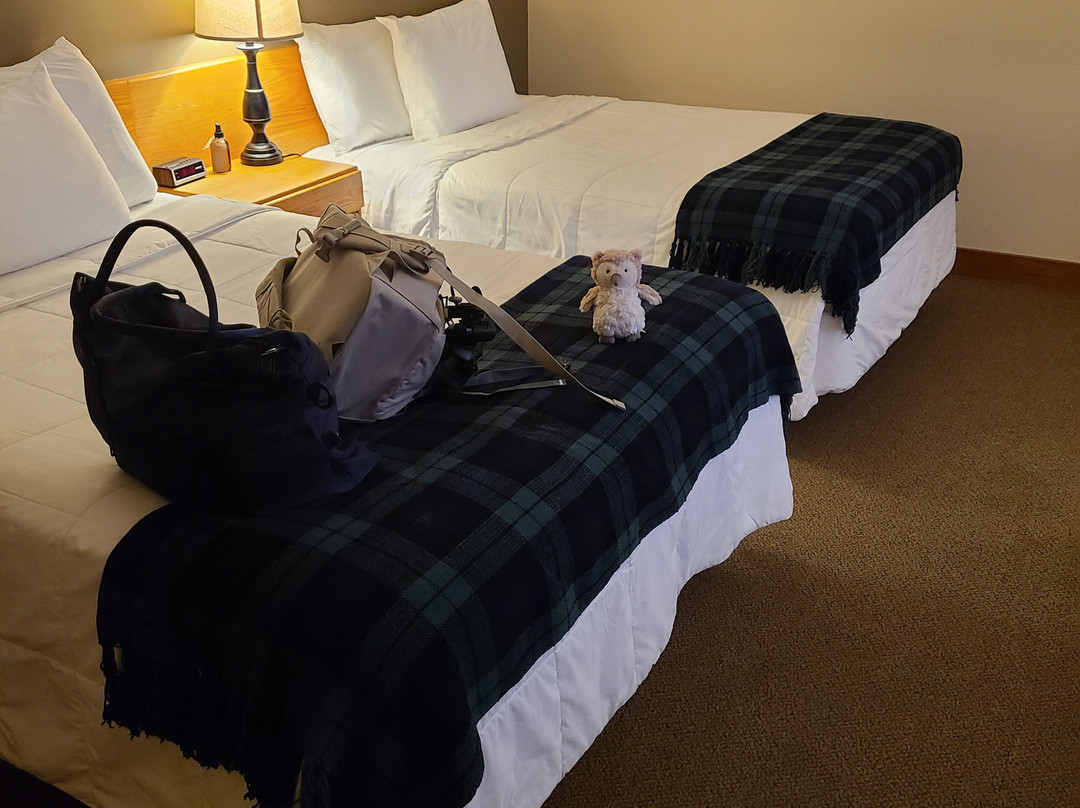 Spillover Motel主图