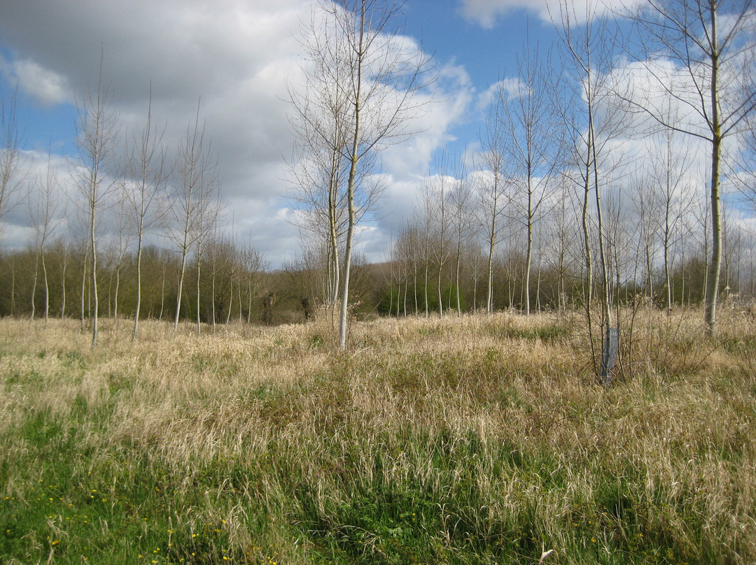 La Pointe Bouchemaine