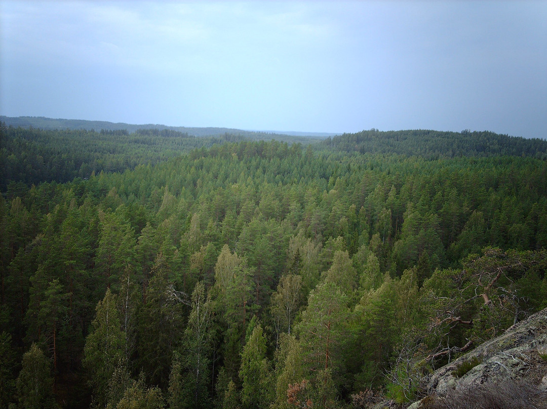 Parc Nacional de Repovesi-科沃拉必去景点
