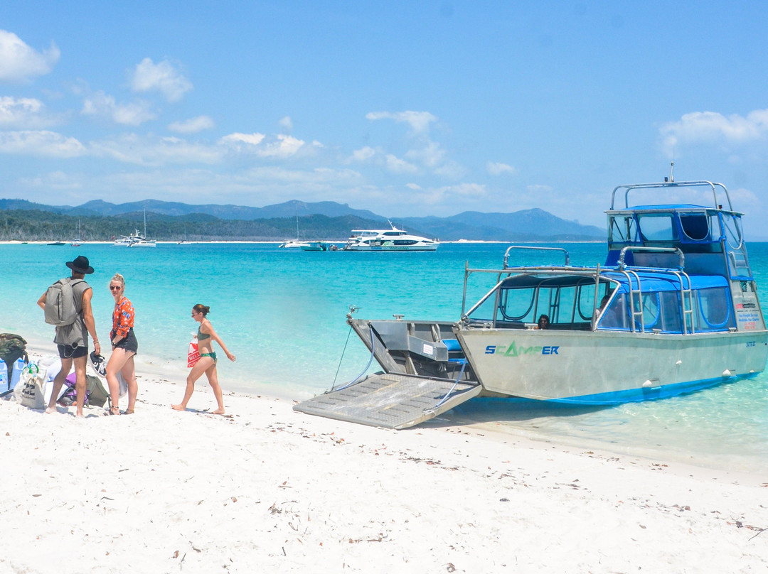 Scamper Island Camping