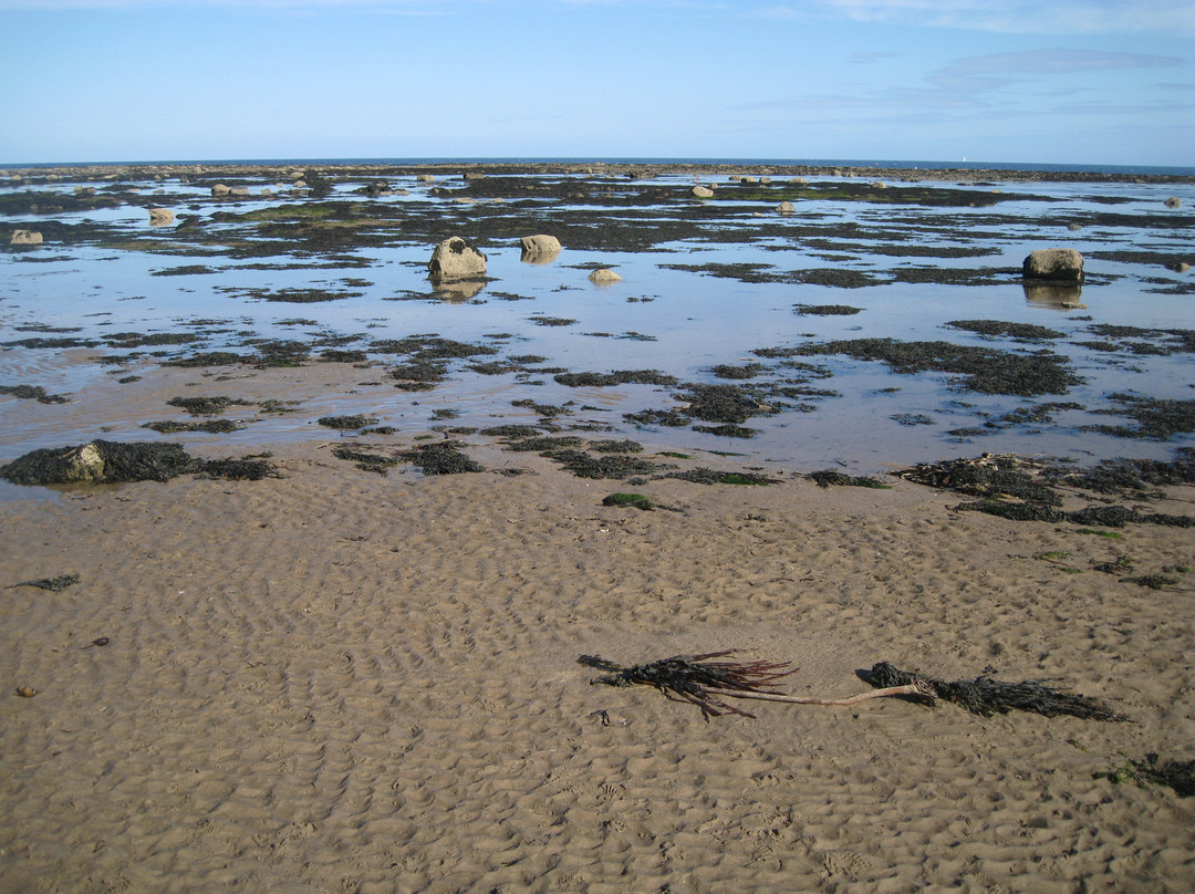 Alnmouth Beach景点图片