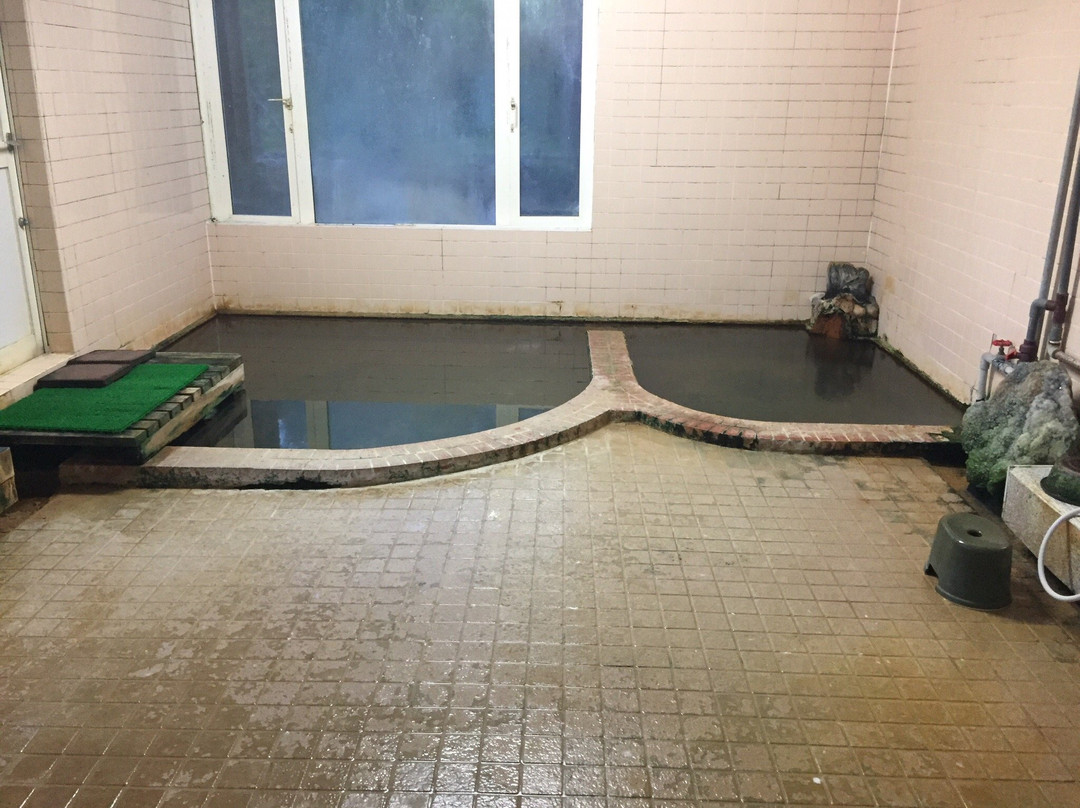 Miyauchi Onsen Ryokan主图