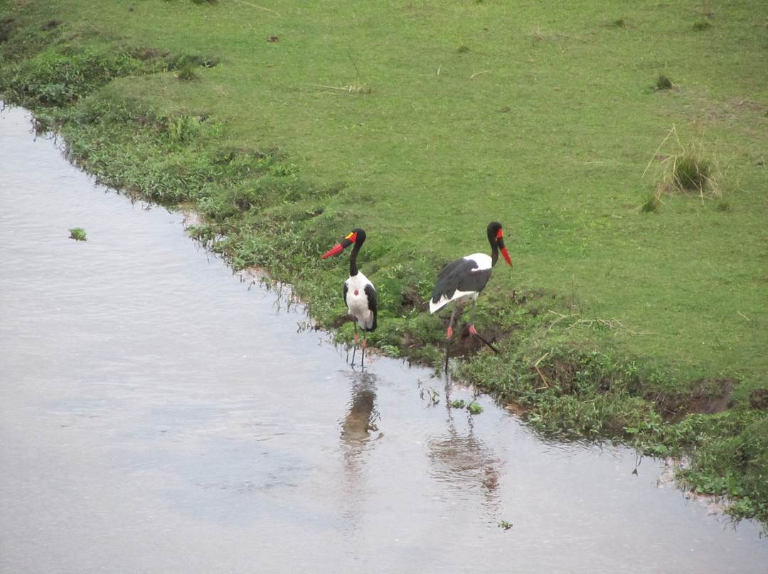 Pestana Kruger Lodge主图